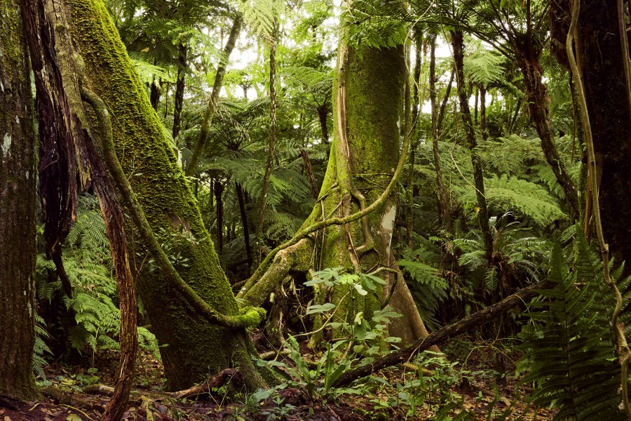 Personal Aldea Yeyi image